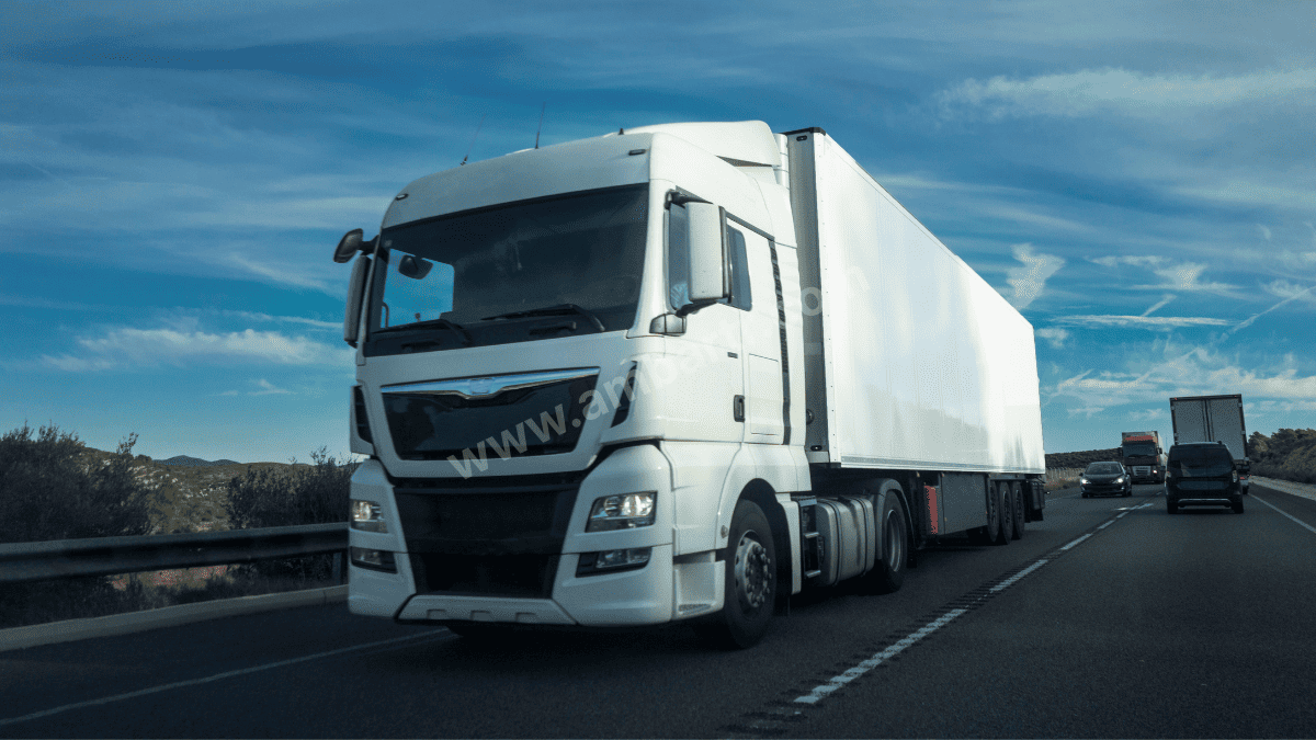 Yalova Şehirler Arası Taşıma